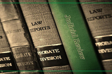 Judicial Review